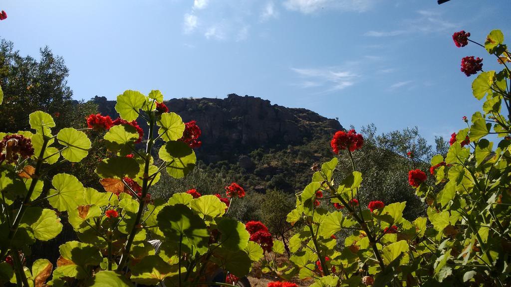 Vakantiehuis La Piedra Holidays *